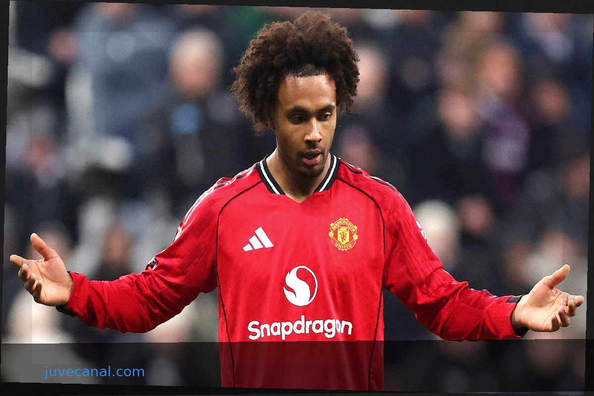Joshua Zirkzee reportedly agrees to join Juventus, a significant financial win for Bayern Munich