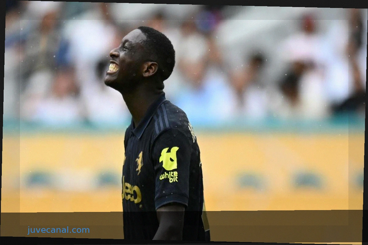 Only Kolo Muani as a Target: No Signings or Sales So Far