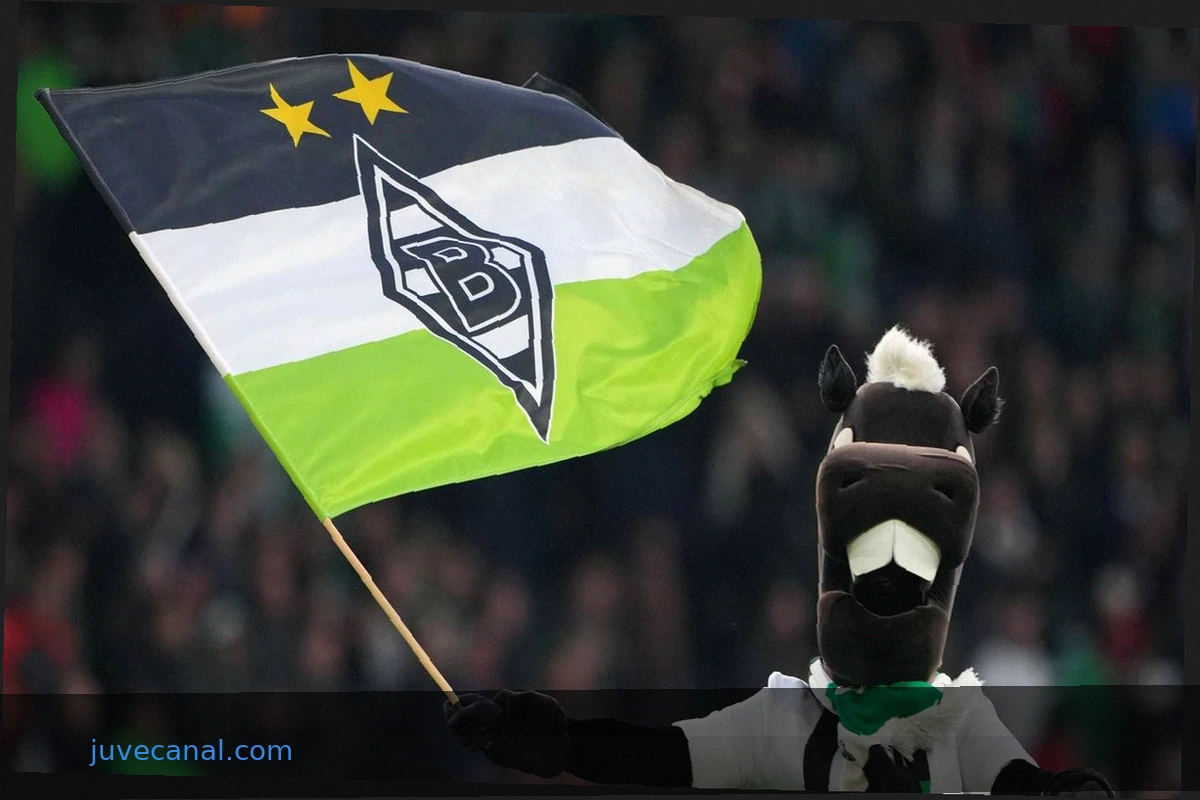 Borussia Mönchengladbach Match Broadcast Information: Where to Watch Live on TV and Livestream