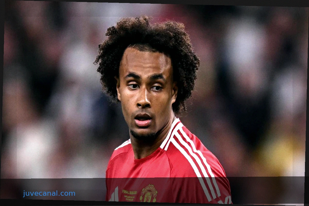 Zirkzee, apertura dello United, trattative in corso