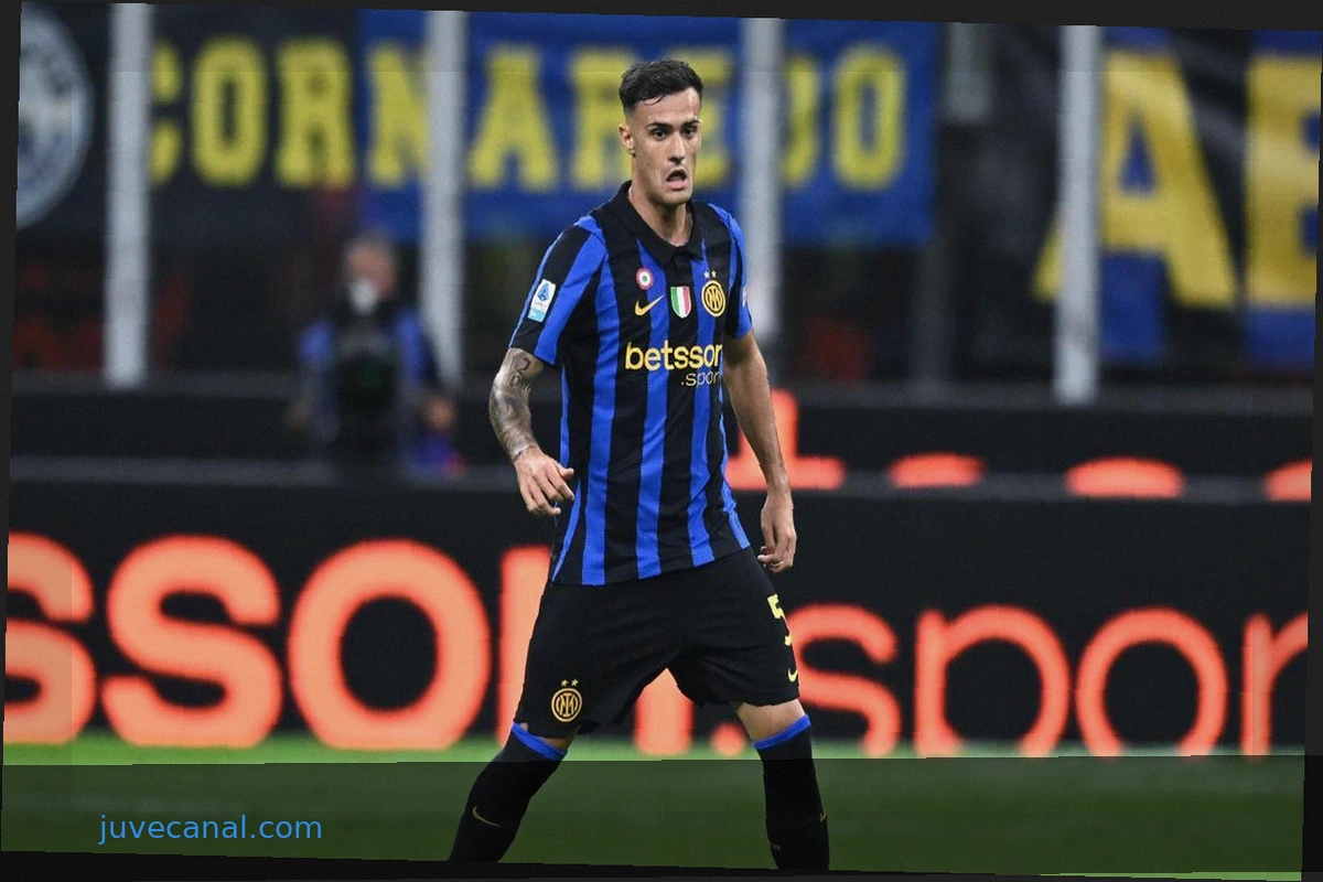 Stankovic's Limited Role: Chivu's Least-Used Player