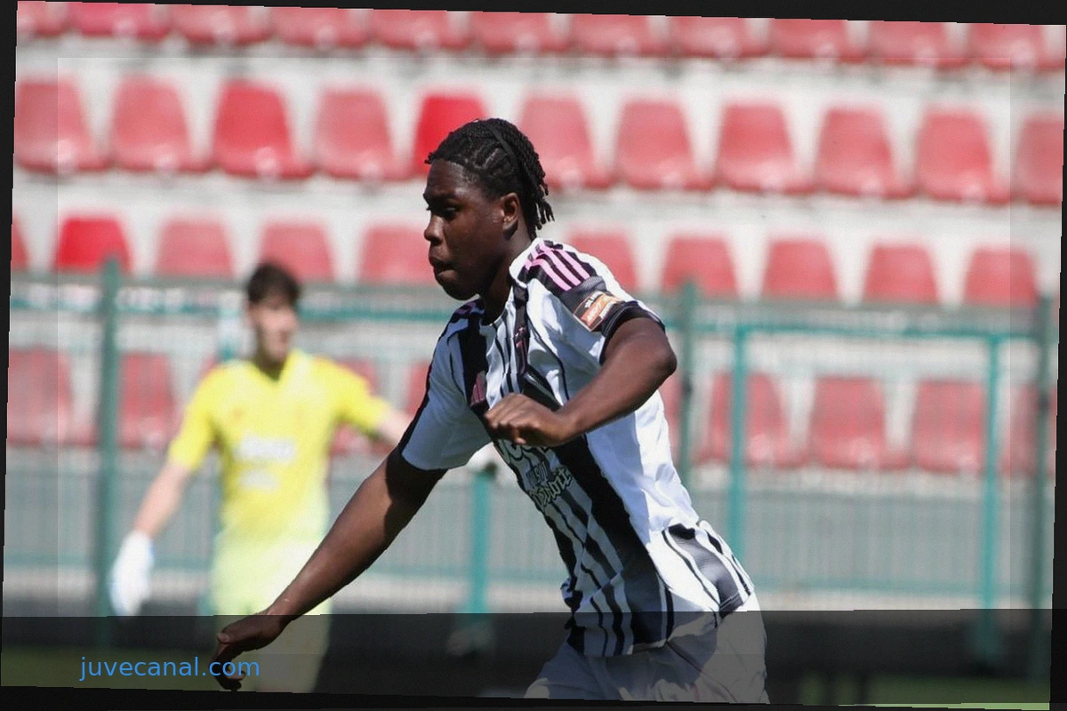Catanzaro: Decisive Acceleration for Owusu?