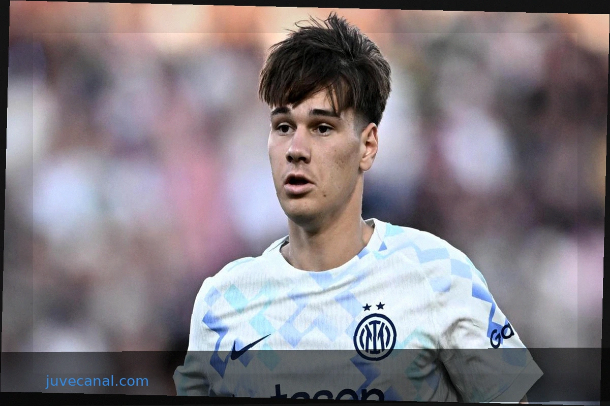 Inter Loaned Players Update: From Palacios to Topalovic