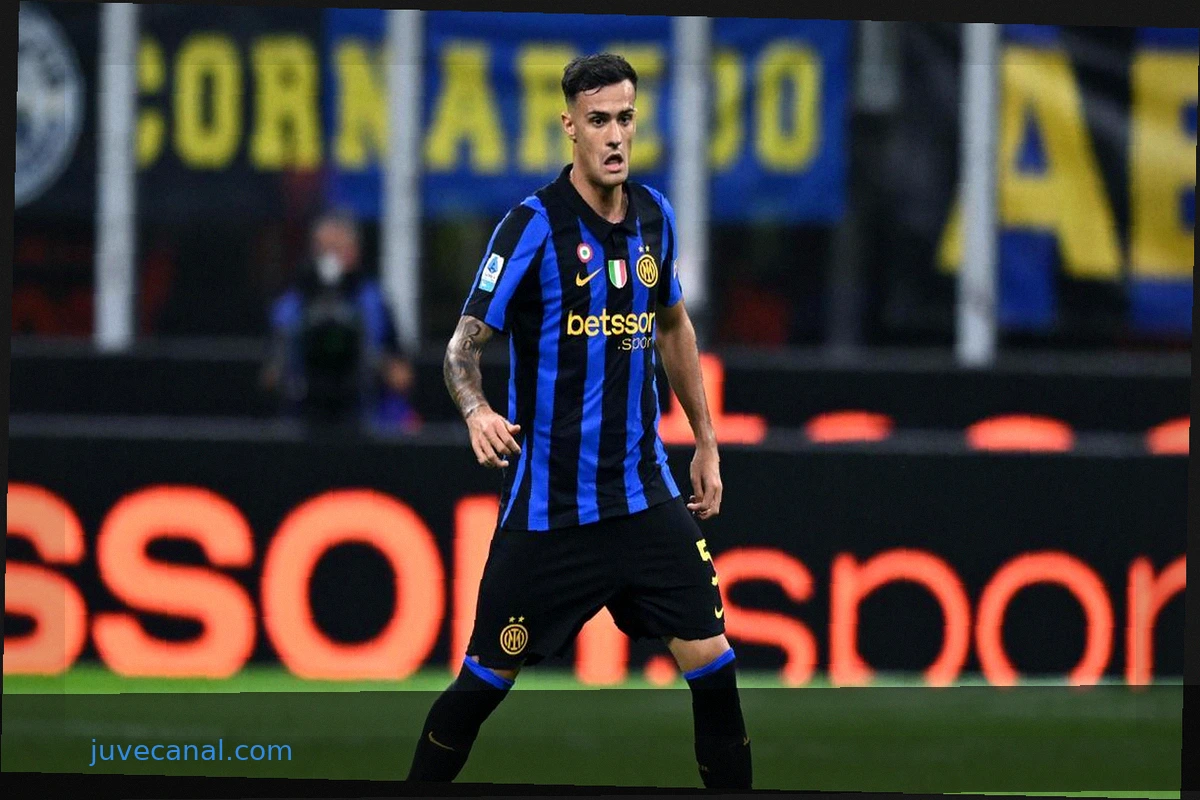 Stankovic: Inter's January plans clear