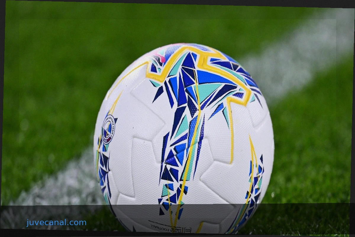 Irregular Practices in Sports Agent Profession: A Widespread and Unsustainable Phenomenon