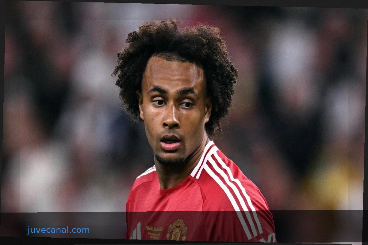 Juventus and Manchester United: Exchange Idea Gains Traction - Conceição to Premier League, Zirkzee to Bianconeri?