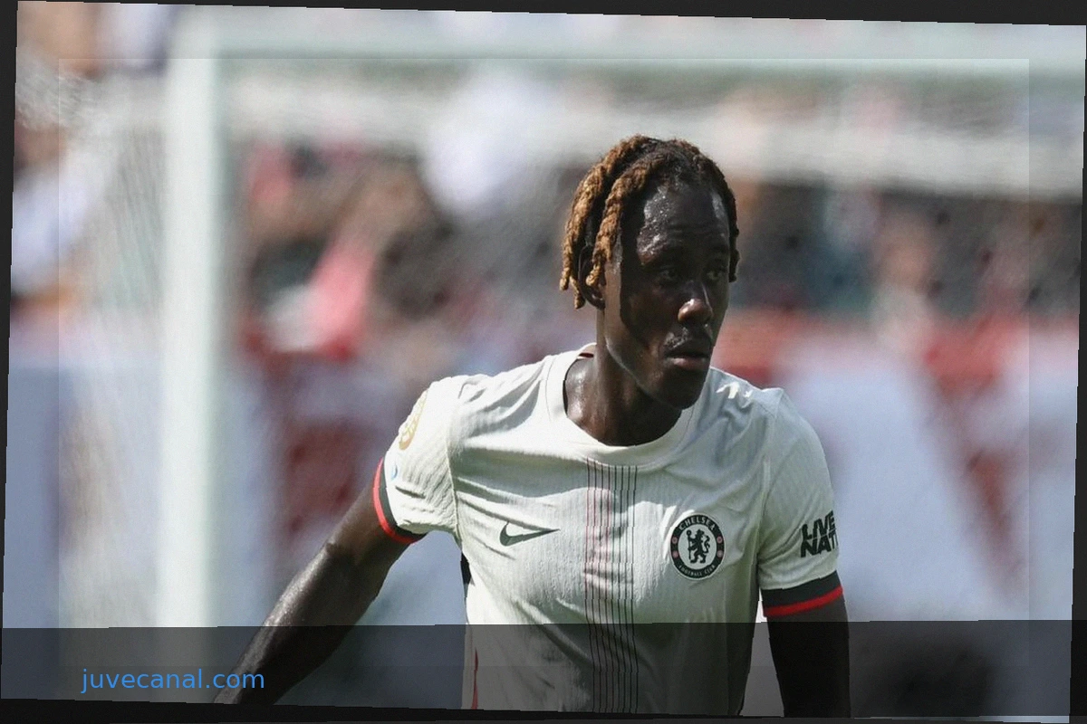 Chivu's Defensive Reinforcements: Chalobah or Free Agents?