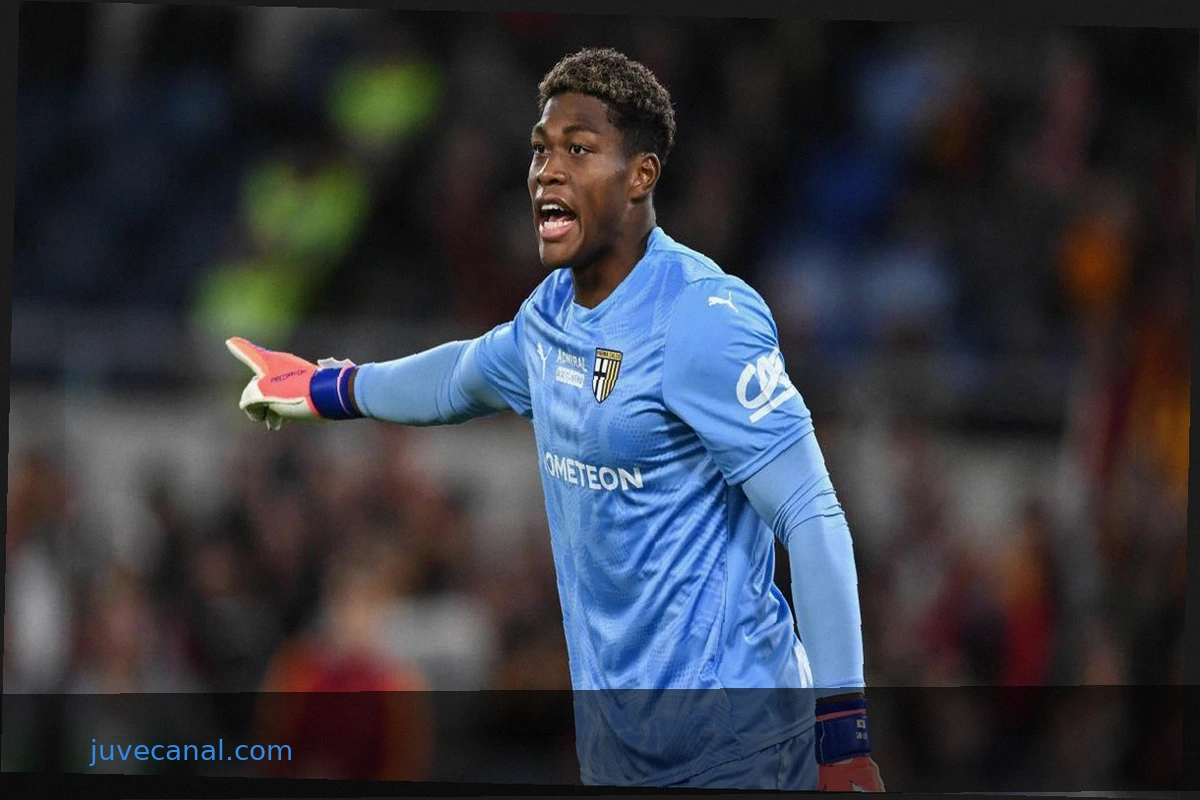 Calciomercato Juventus h24 - Real su Locatelli. Intrigo Psg-Juve per il portiere