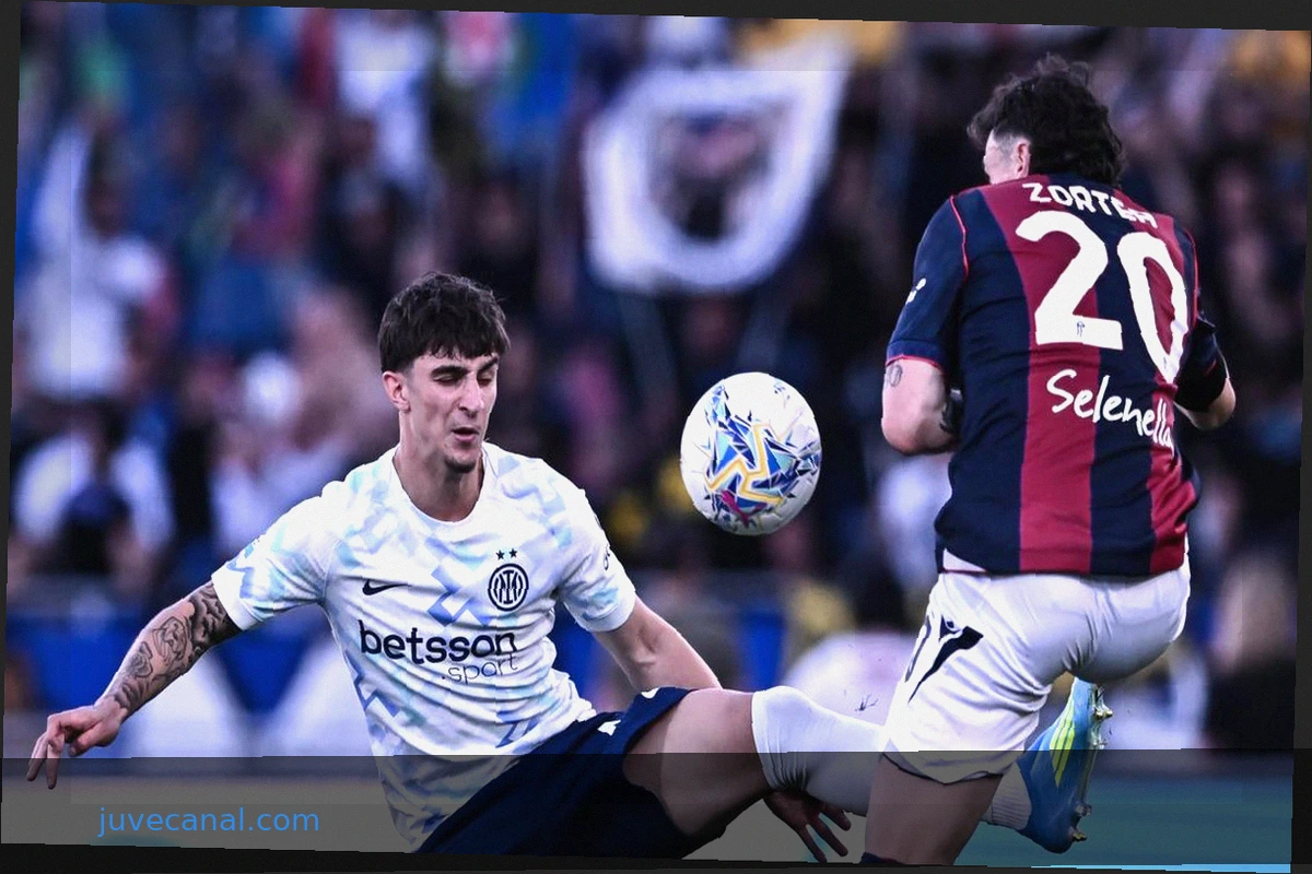 Matteo Cocchi: "I want another year of growth at Padova. Dimarco is a champion, from him..."